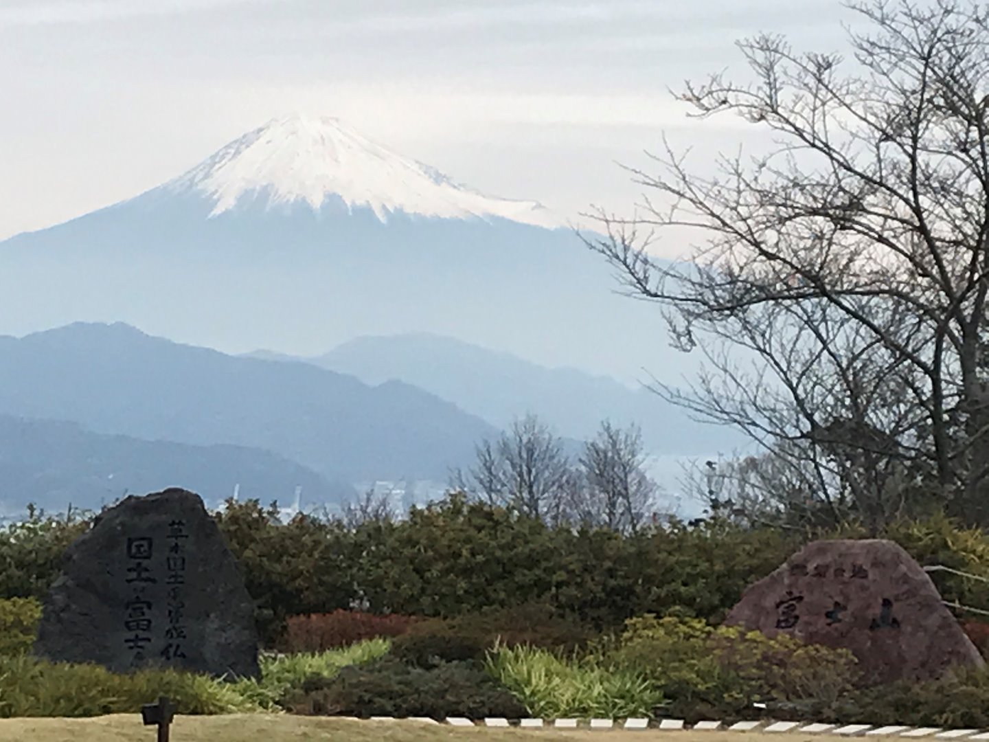 添乗レポート