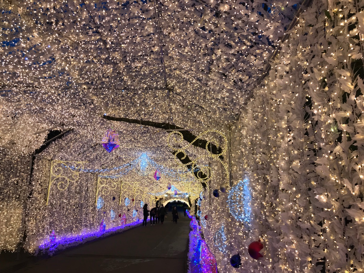 添乗レポート