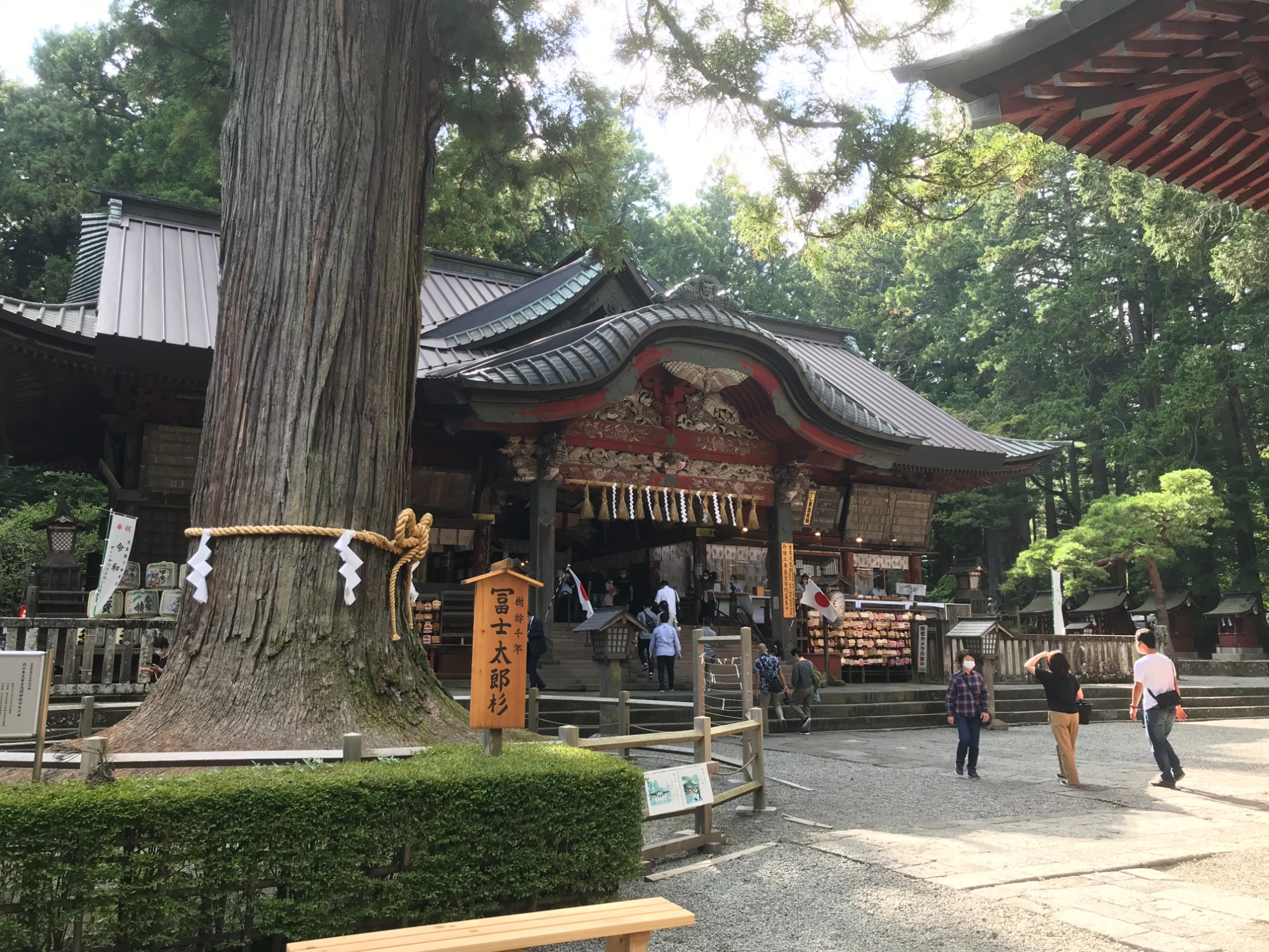 添乗レポート