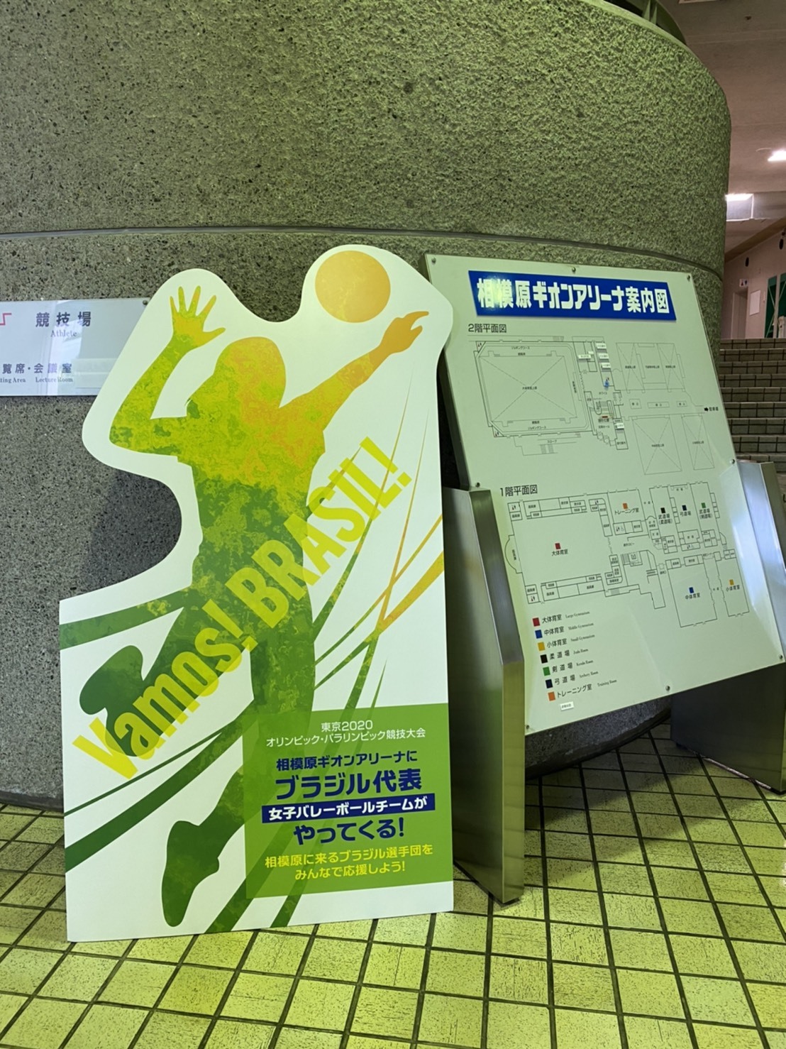 ブラジル代表チーム事前キャンプ